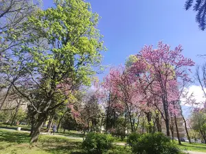 Rozarium