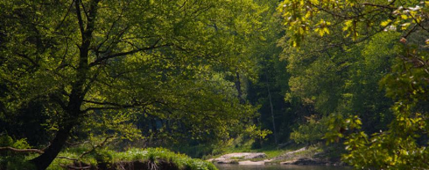 Clarion River
