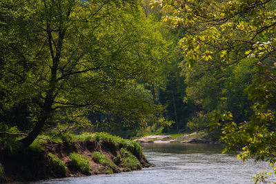 Clarion River