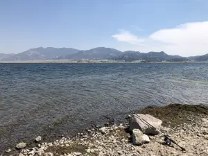 11 Mile Marina