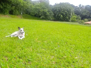 Municipal Park - "Joaquim Amaral Amando de Barros."