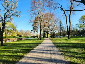 Stadium Park