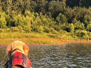 Barren River Lake