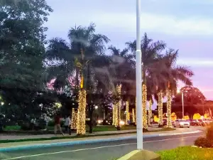 Pesebre de Formosa