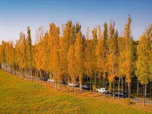 Park Manap Biy