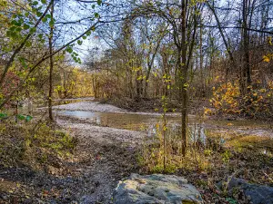 Busiek State Forest and Wildlife Area