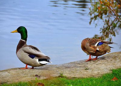 Wapato Park