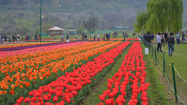 Nigeen Club (Event Hosting/Ceremonies)