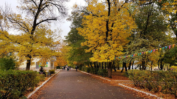 Childrens Park