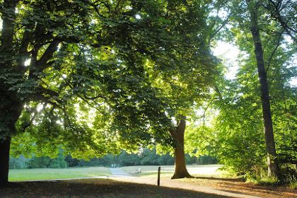 River Crane Brick (Shot) Tower & Cafe