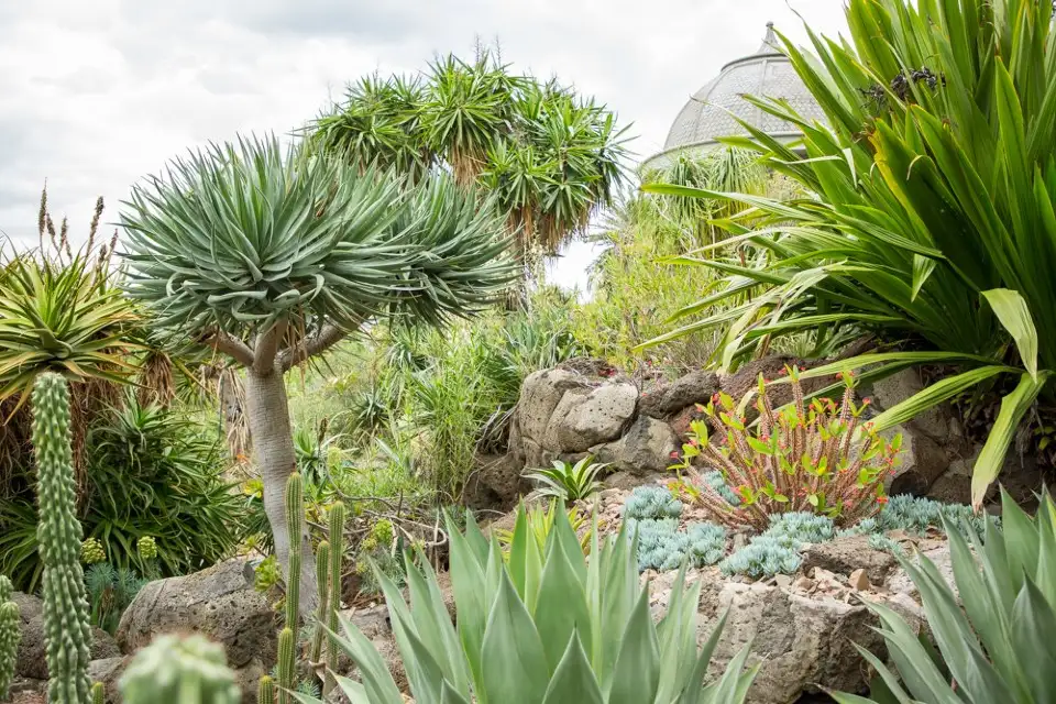 Royal Botanic Gardens Melbourne (Lightscape)