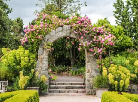 VanDusen Botanical Garden