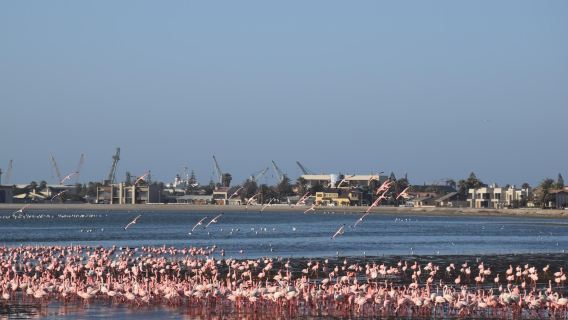 Long Beach Leisure Park