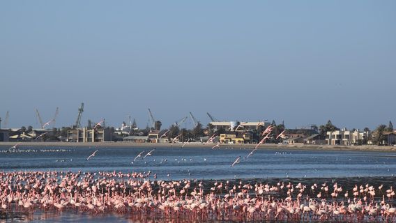 Long Beach Leisure Park