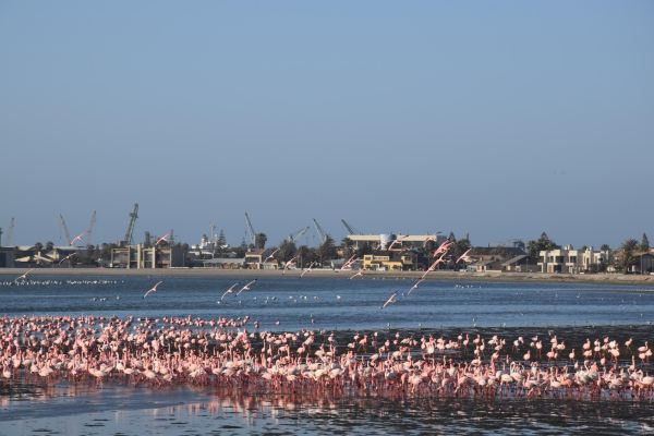 Long Beach Leisure Park