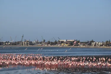 Long Beach Leisure Park