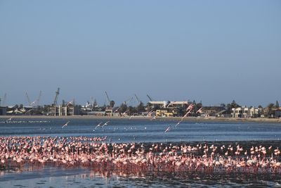 Long Beach Leisure Park