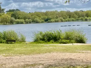 Petersfield Heath & Pond/Lake