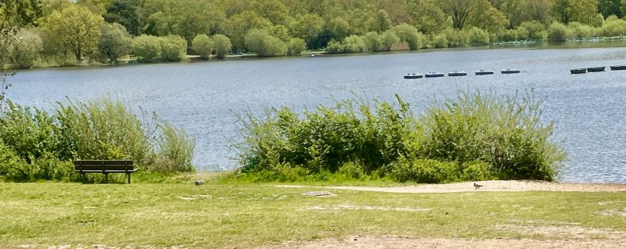 Petersfield Heath & Pond/Lake