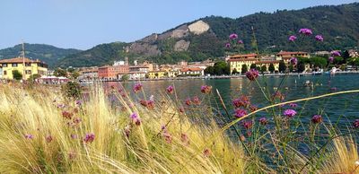 Lungolago di Sarnico