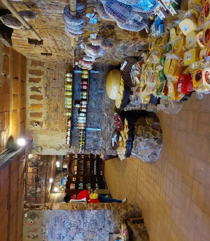 Colon