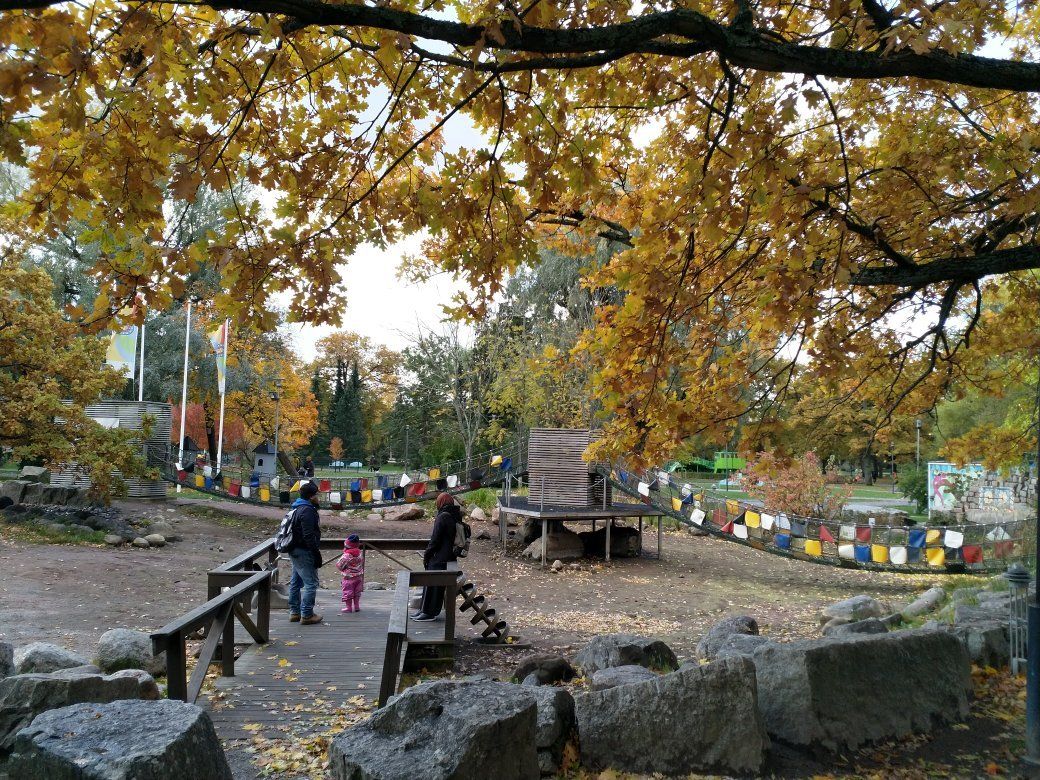 Adventure Park Seikkailupuisto