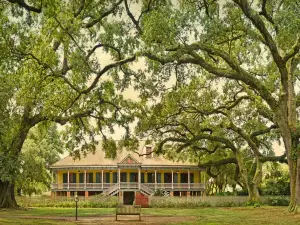 Laura Plantation: Louisiana's Créole Heritage Site
