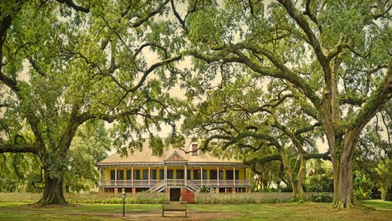 Laura Plantation: Louisiana's Créole Heritage Site