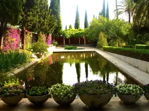 Jardin Botanico-Historico La Concepcion