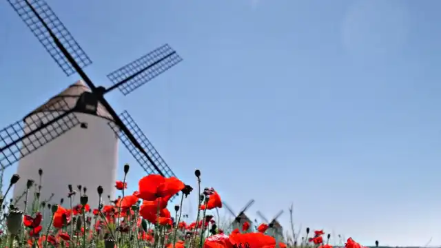 Windmills Manchegos