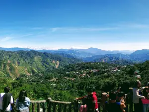 Baguio City Market