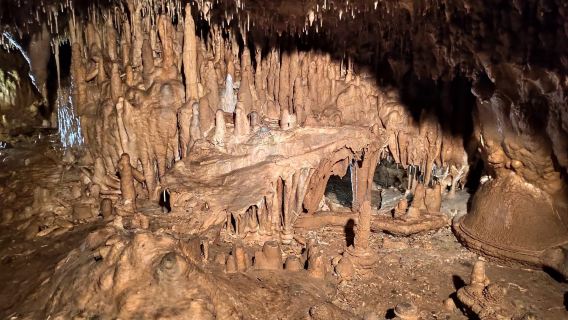 Javoříčské caves