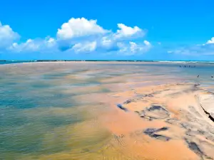 Natureza Tur - Passeios de Barco e Lancha - Barra do Cunhaú