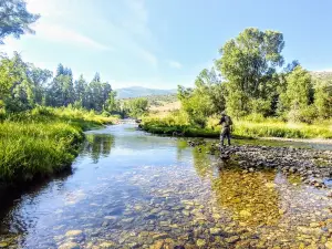 Sage Outdoor Adventures - Rafting, Tubing, SUP, & Ducky Rentals
