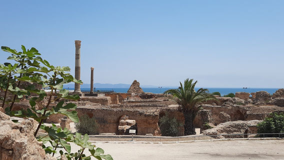 Ванны Антония Карфагенского