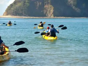 Pato's Surf School