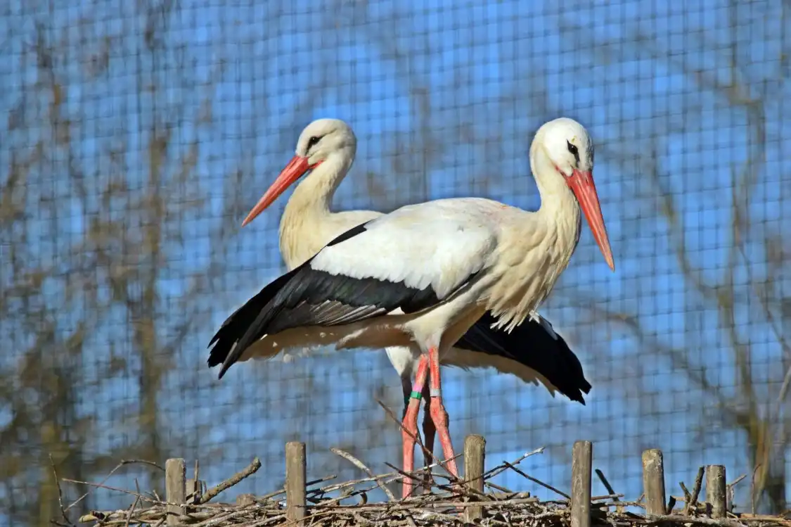 Hotel in zona Parco Ittico Paradiso