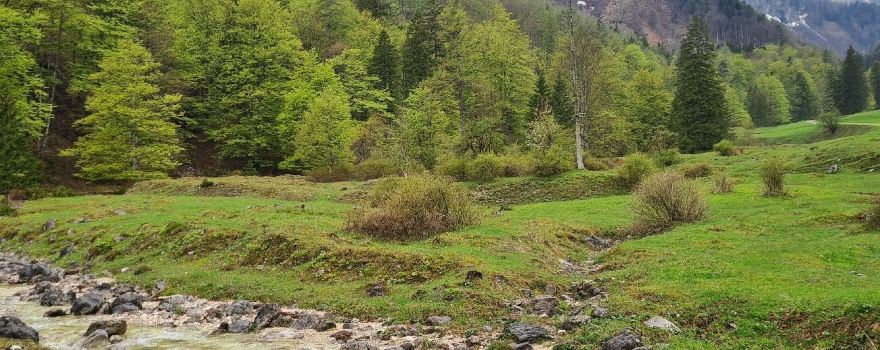 Kalkalpen National Park