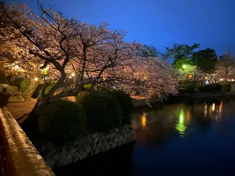 鄰近桑名城址（九華公園）的酒店