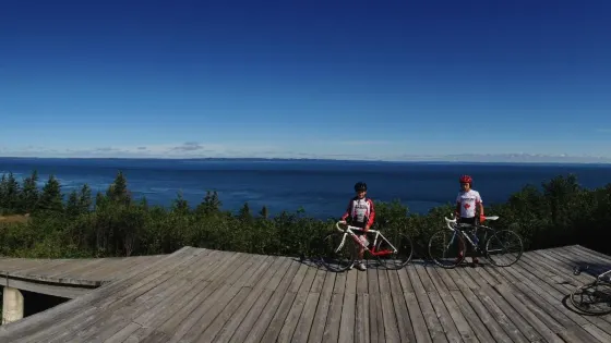 大馬南島