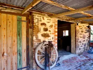 Langmeil Winery - Home of Barossa Valley's Oldest Shiraz Vineyard