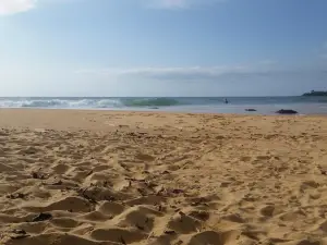 욘 오베이 비치