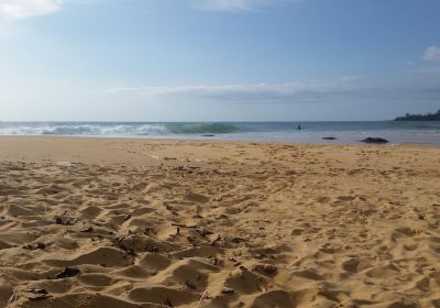 John Obey Beach
