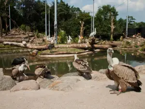 Amersfoort Zoo