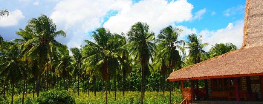 Kota Tambolaka