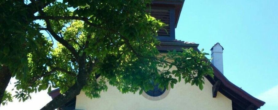 Tolochenaz