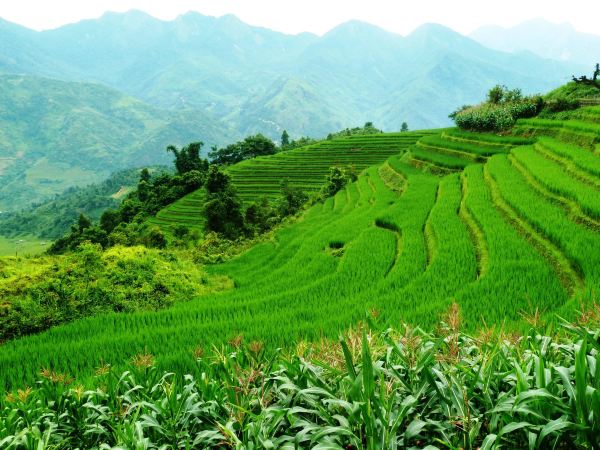 Muong Hoa valley