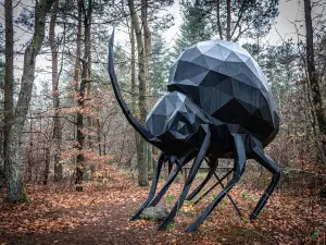 Skovsnogen - Deep Forest Artland
