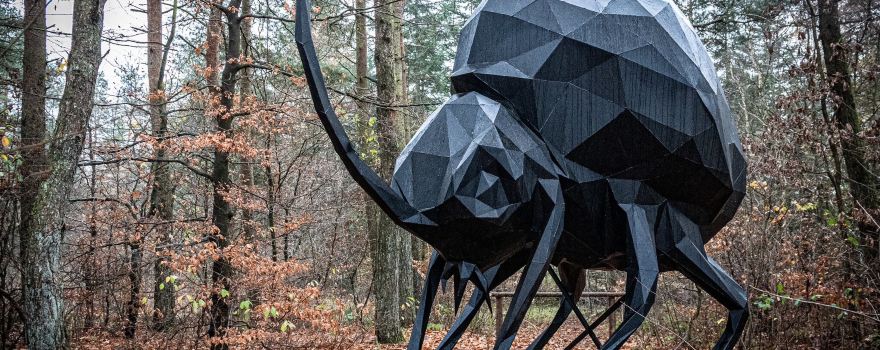 Skovsnogen - Deep Forest Artland