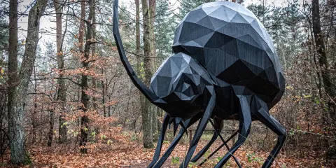 Skovsnogen - Deep Forest Artland